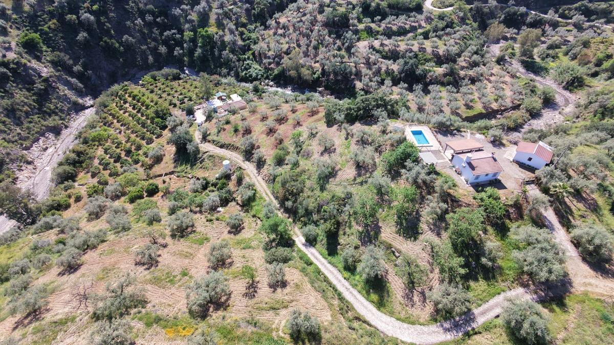 Comares
